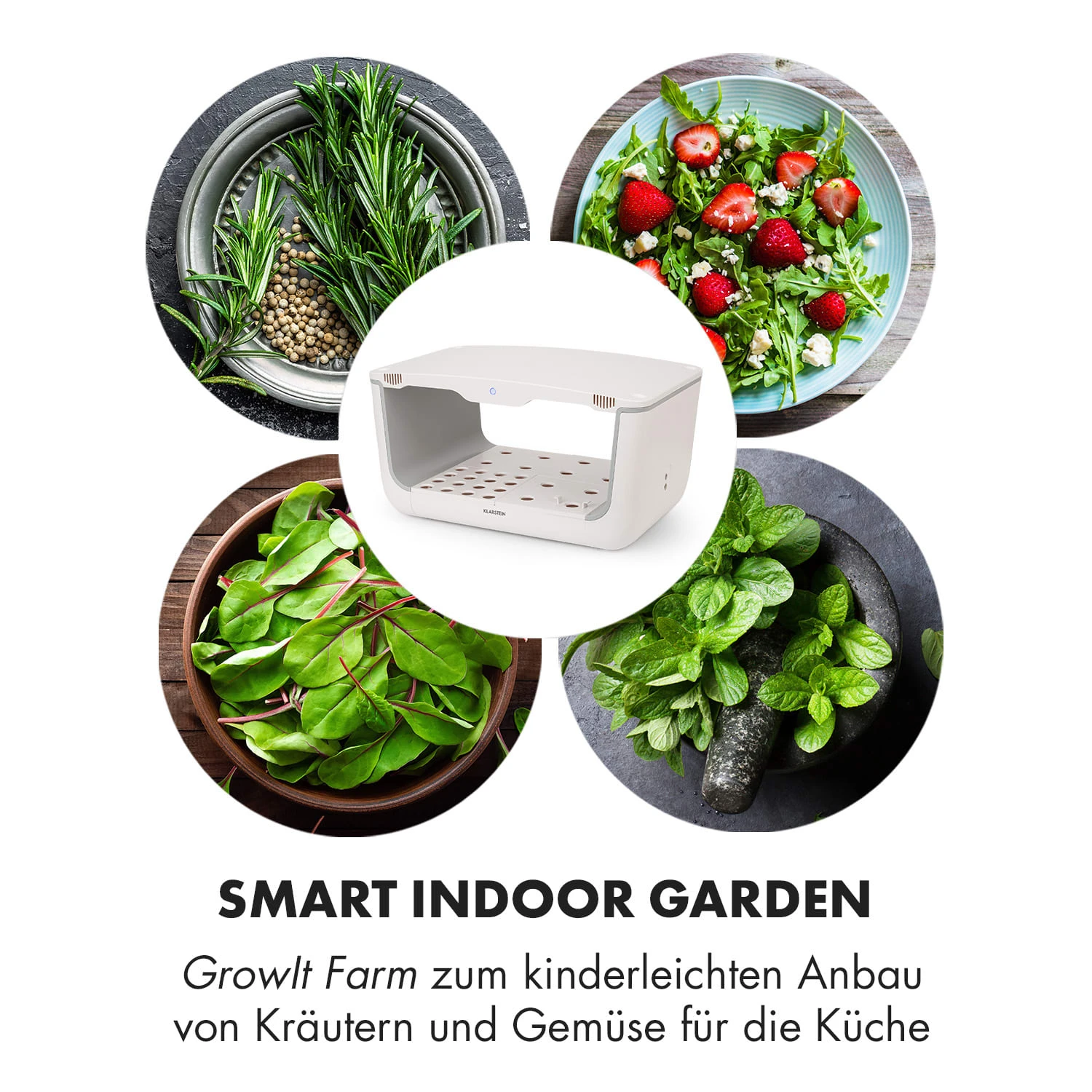 GrowIt Farm Smart Indoor Garden 28 Pflanzen 48W LED 8 Liter 6 GrowIt Farm Smart Indoor Garden 28 Pflanzen 48W LED 8 Liter – Bild 4