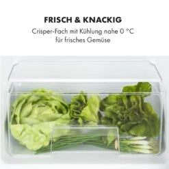 Big Daddy Cool Kühl-Gefrierkombination 61/25 Liter 2 Ebenen Edelstahl 18 Big Daddy Cool Kühl-Gefrierkombination 61/25 Liter 2 Ebenen Edelstahl -Klarstein 10034005 de 0005 logo