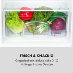 Cool Cousin Kühl-Gefrier-Kombination 70/11 Liter 40 DB 17 Cool Cousin Kühl-Gefrier-Kombination 70/11 Liter 40 DB -Klarstein 10034547 de 0006 logo