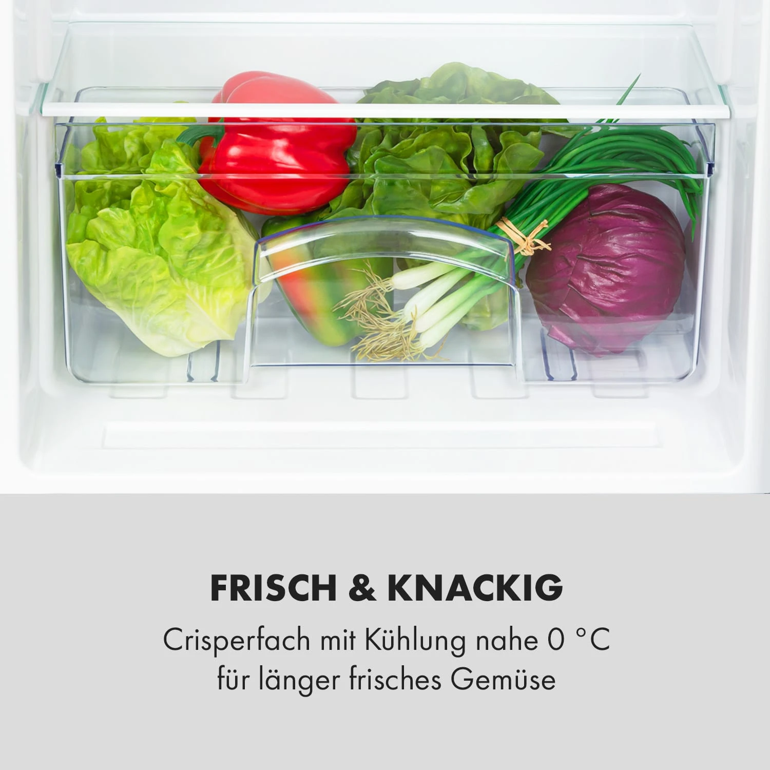 Cool Cousin Kühl-Gefrier-Kombination 70/11 Liter 40 DB 8 Cool Cousin Kühl-Gefrier-Kombination 70/11 Liter 40 DB – Bild 6