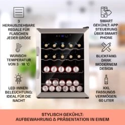 Coachella 60 Kühlschrank 60 Liter WiFi-Funktion Hintergrundbeleuchtung 10 Coachella 60 Kühlschrank 60 Liter WiFi-Funktion Hintergrundbeleuchtung -Klarstein 10034821 de 0002 usp