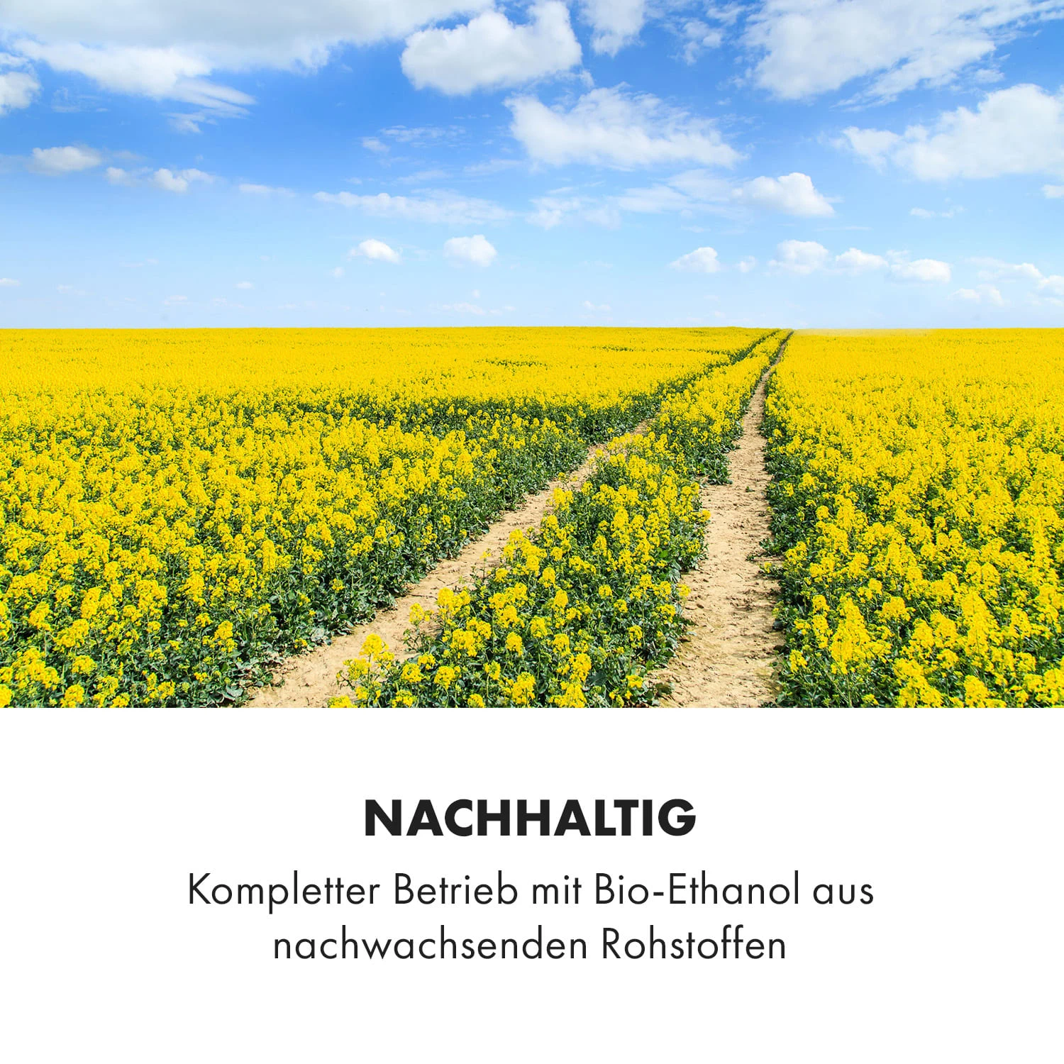 Phantasma Niro Ethanol-Kamin Sicherheitsbrenner Löschhilfe 9 Phantasma Niro Ethanol-Kamin Sicherheitsbrenner Löschhilfe – Bild 7